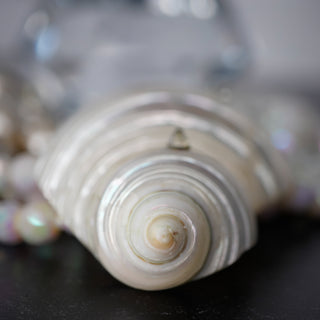 Elegant Ocean’s Majesty: Layered Shell showcases a stunning shell detail, perfect for a statement necklace look.